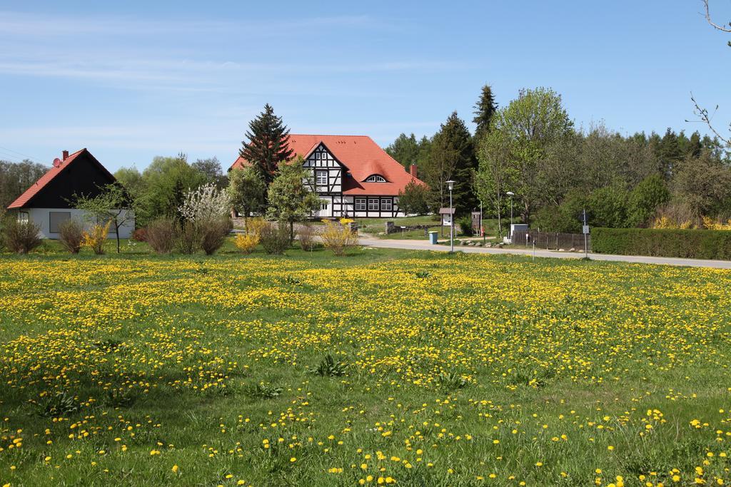 Am Krakower Apartment *